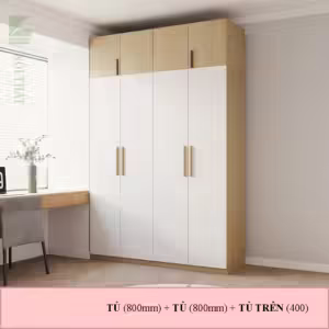 Tủ quần áo hiện đại fm 270004