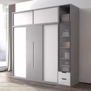 Tủ quần áo hiện đại fm 270003