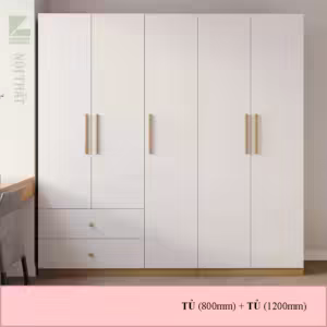 Tủ quần áo hiện đại fm 270004