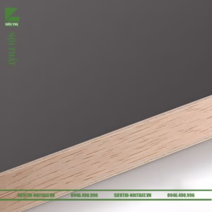 Tủ quần áo fm 270144