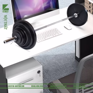 Bàn học bàn làm việc fm 270081